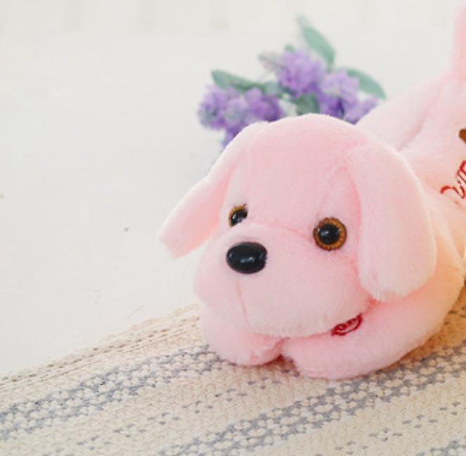 Baby Gift Sets 32CM Glowing Luminous Dog Stuffed Animals Baby Dolls Plush Toys Kids Lighting